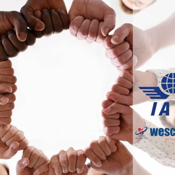 IATA La importancia en la operatividad comercial
